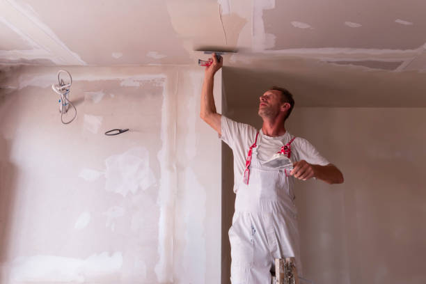 Best Ceiling Drywall Installation  in Rancho Alegre, TX